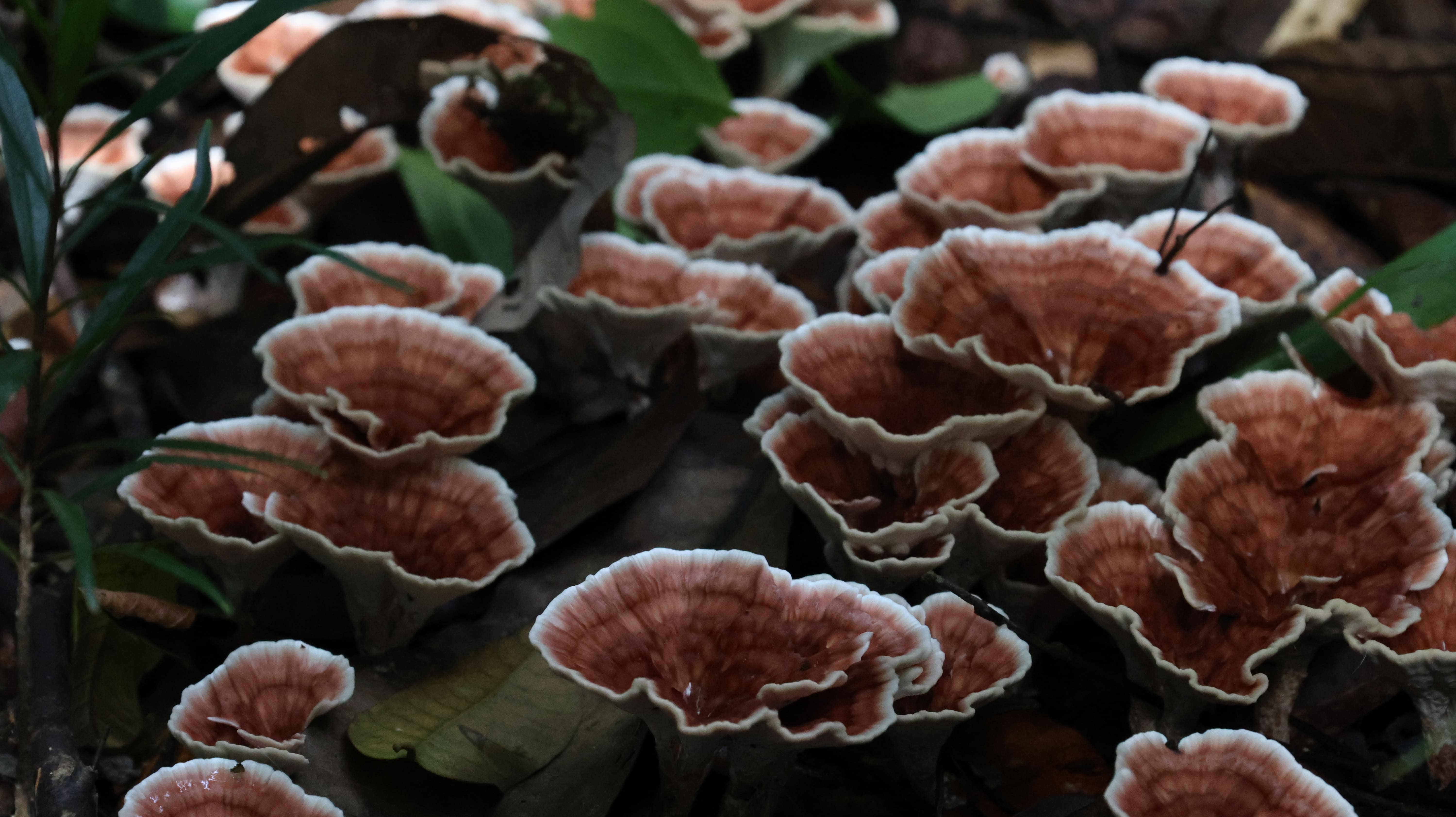 Wartono Kadri Photo 3